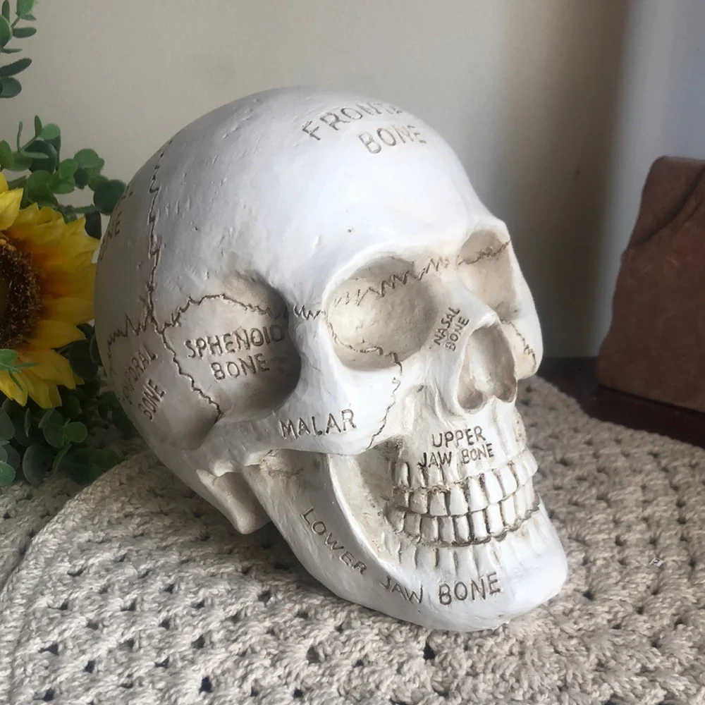 Halloween SKULL Decor